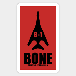 B-1 bone Magnet